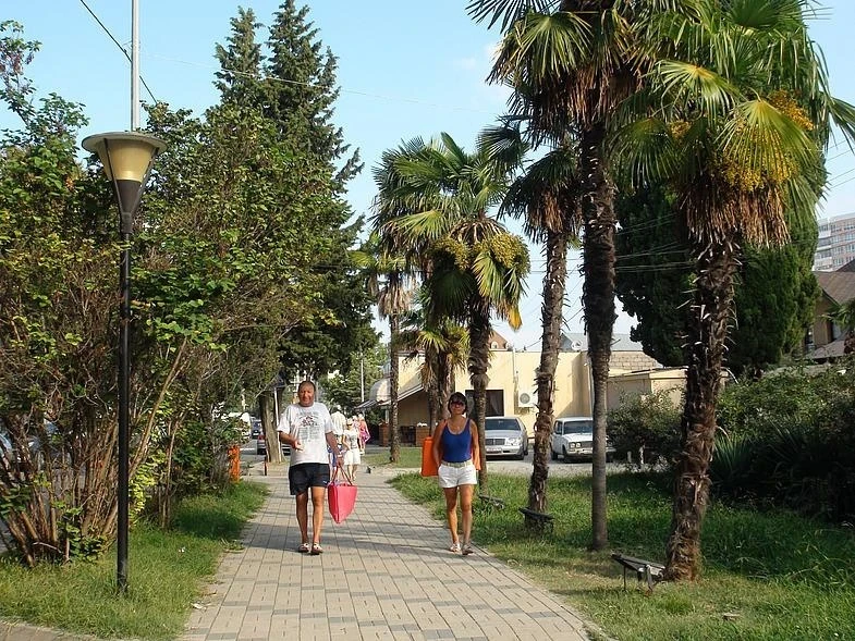 Очередная адлеровская улочка