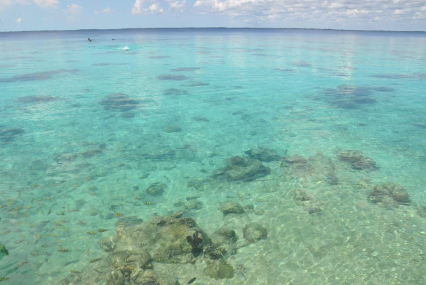 карибское море