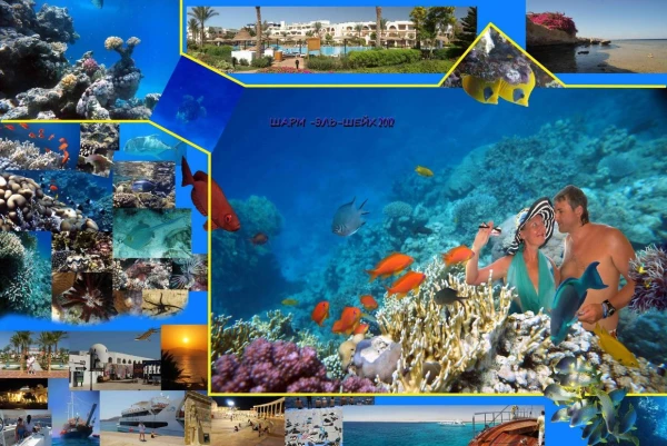 И снова красное море