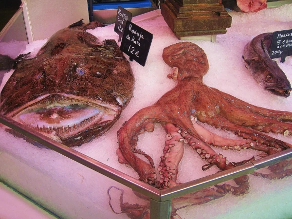 на рынке дары моря