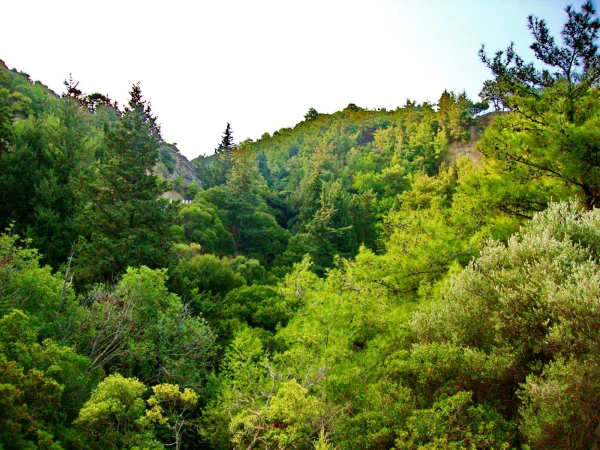 Петалудес. Долина бабочек 