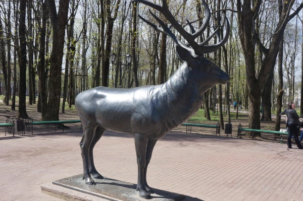 Немецкий олень