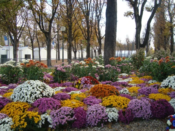 Париж так щедр ко мне в мой день...