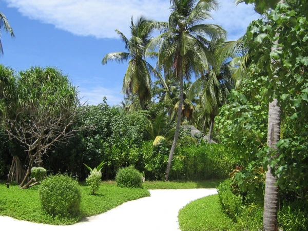Ayada Maldives 5* - незабываемый отдых вдали от цивилизации