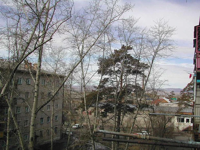 Вид с нашего балкона в сторону ул. Курнатовского. 2006 г.