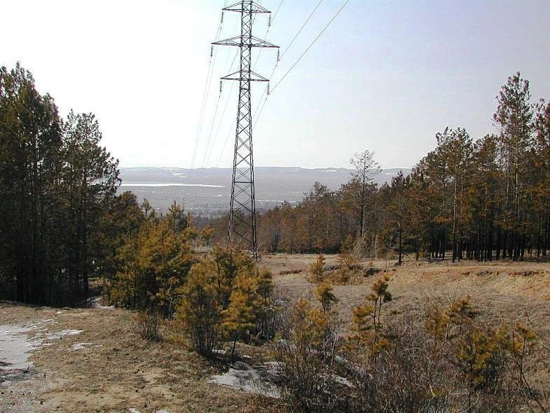 Просека.2006 г.