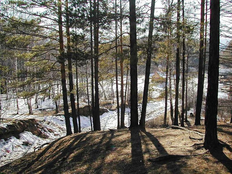 Молоковка. 2006 г.