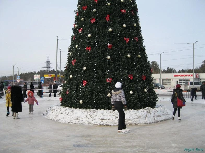 Елка у МАКСИ. 2012 г.