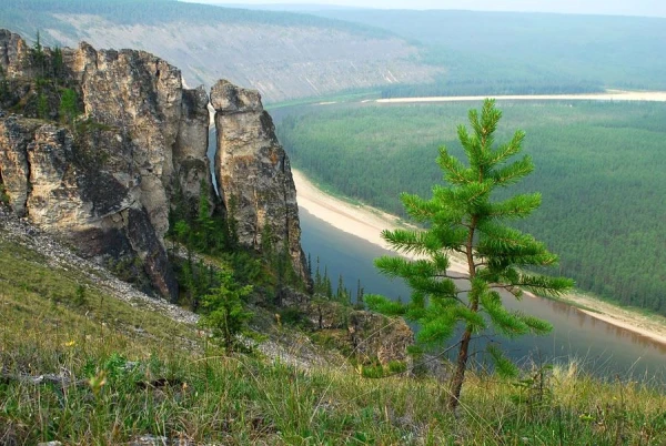 Kochergine Vladimir - р.Амга