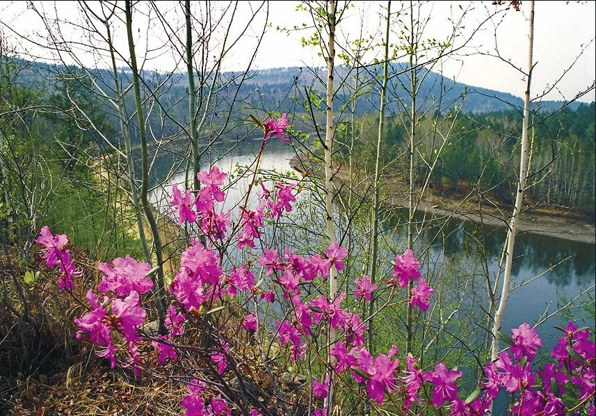 Александр Леснянский 