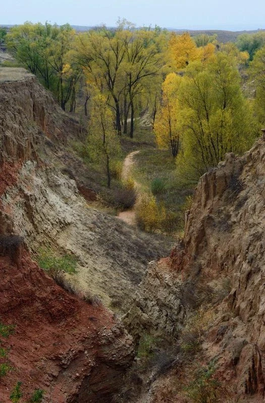 Китай