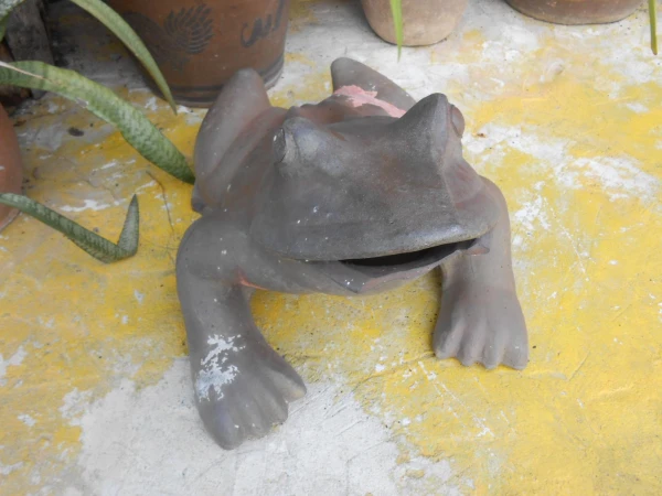 тоже я