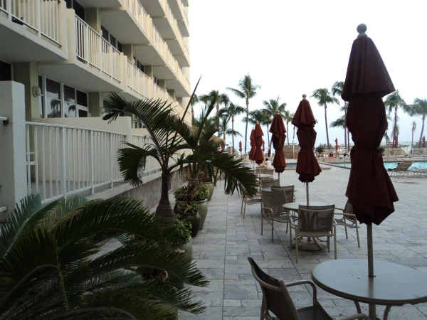 Newport Beachside Hotel & Resort 3* (Флорида,Майами)