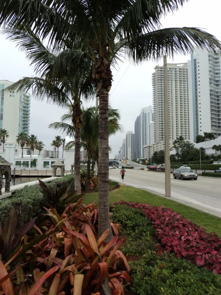 США. Майами. Sunny Isles Beach. 