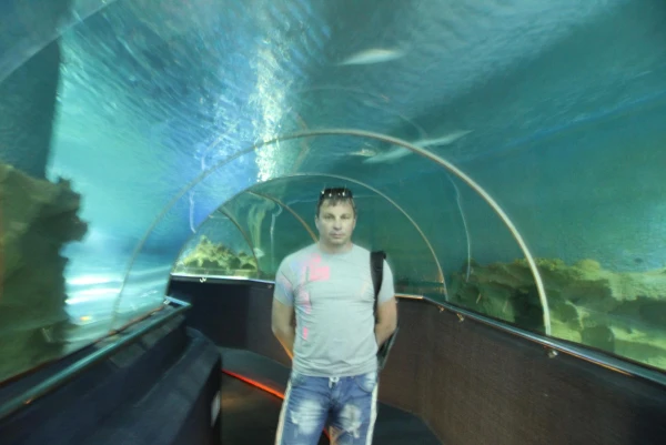 В аквариуме