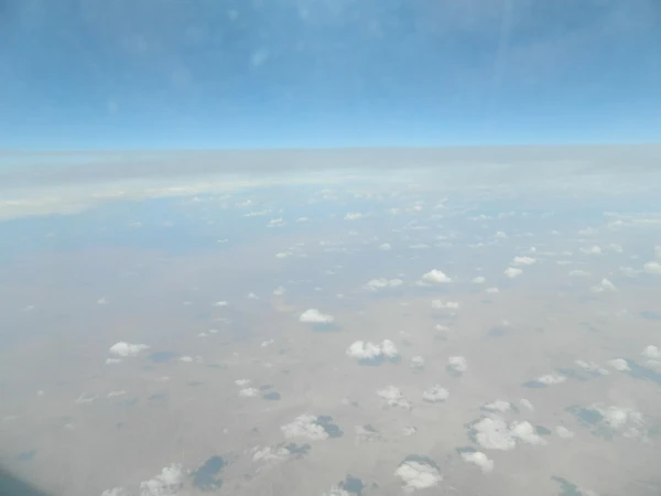 барашки