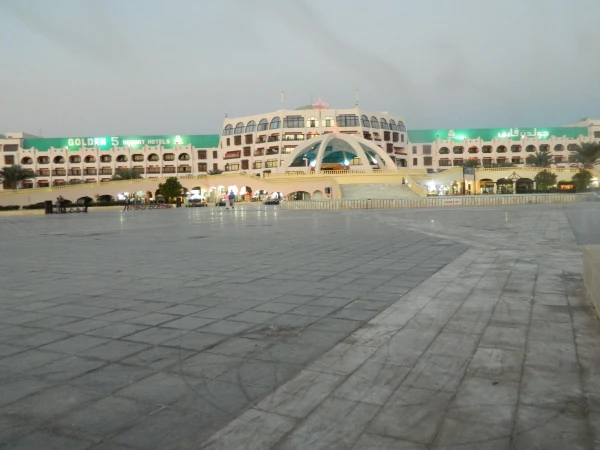 папалайз