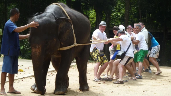 Перетягивание каната)