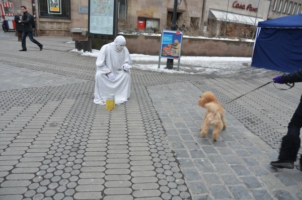 Облаяли друг друга...