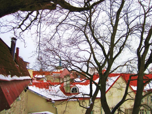 со смотровой площадки