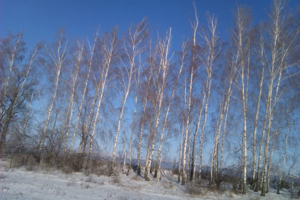 По дороге