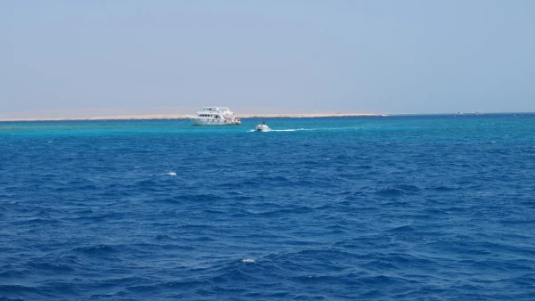 Красное море