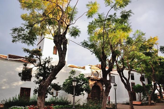  ICOD DE LOS VINOS