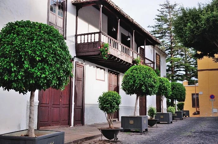 ICOD DE LOS VINOS