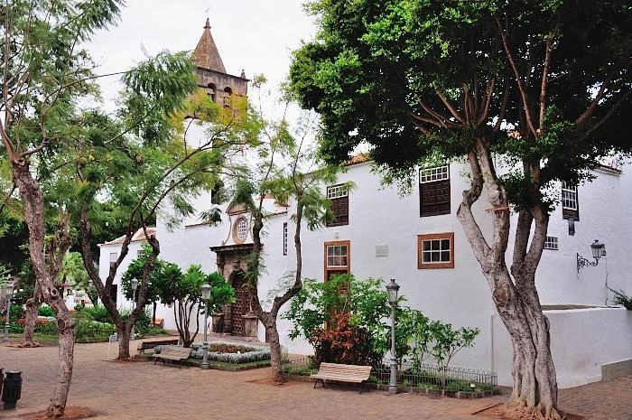ICOD DE LOS VINOS
