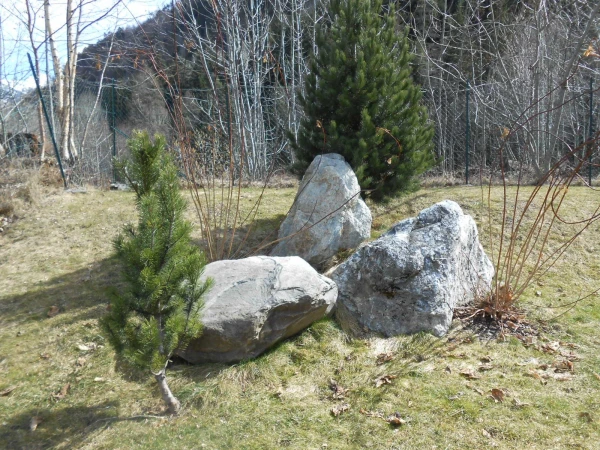 сад камней-)