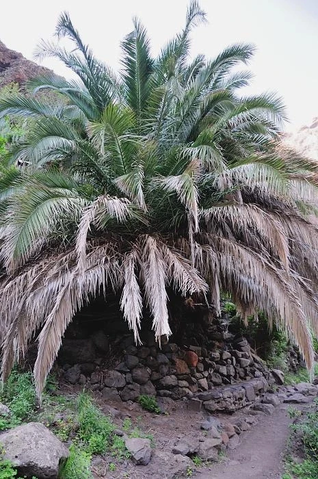 Ущелье Маска