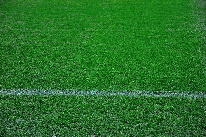 Экскурсия на Camp Nou