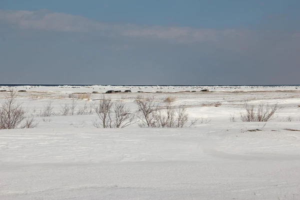 Охотское море, рыбаки