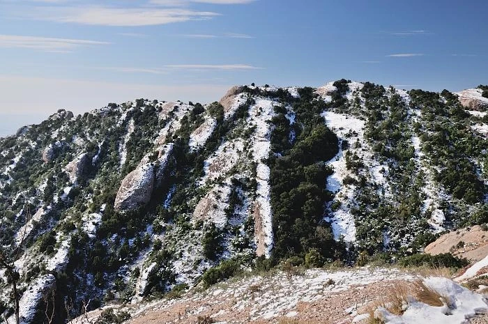 Маршрут 4: Верхняя станция фуникулера Сант-Жуан - дорога La Serra Llarga - Святая Пещера – Монастырь / часть пути