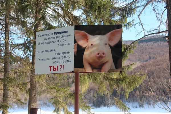 городское водохранилище