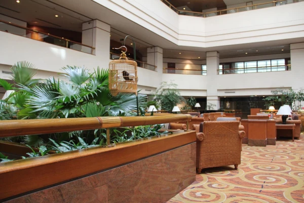 Сиань. Гостиница "Grand Metro Park Hotel Xian". Лобби-бар. Птичка - настоящая. :).