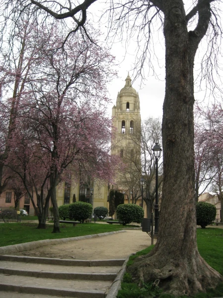 Plaza de la Merced - вид на колокольню Кафедрального собора