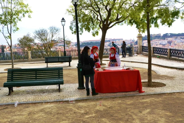 Смотровая площадка Jardim de São Pedro de Alcântara 