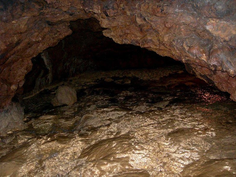 Золотая река