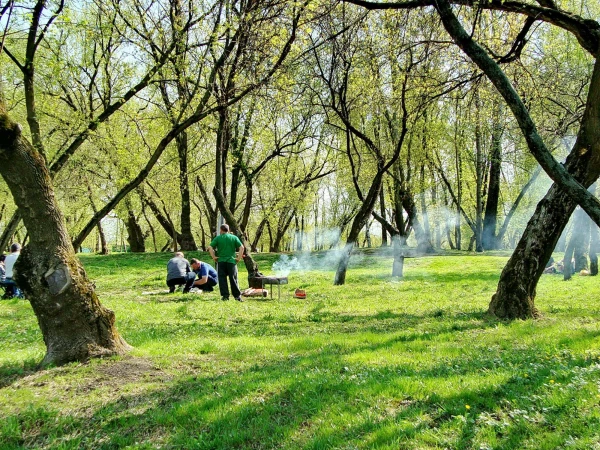 Мангалы не возбраняются 
