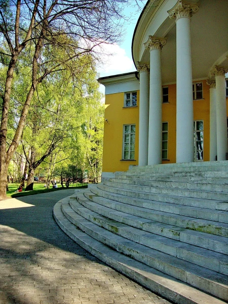 Дворец   Н.Дурасова