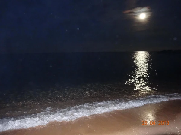 Ночное море