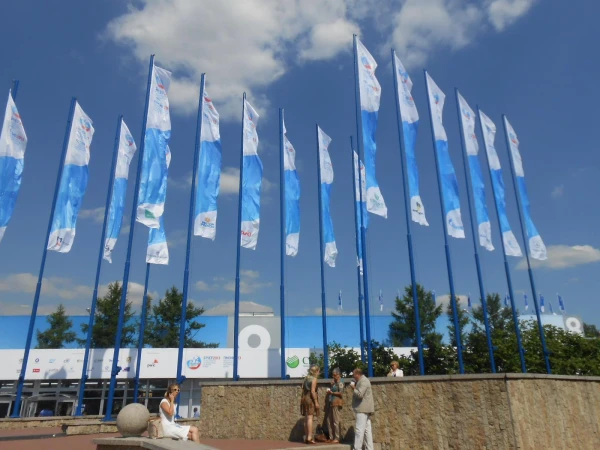 флаги ПЭФ