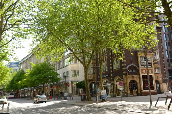 Главная торговая улица Гамбурга : Mönckebergstraße
