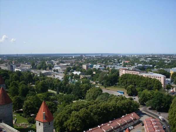 Таллин с башни Олафа.