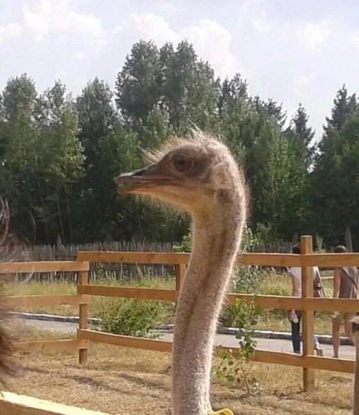 Немного о Киеве
