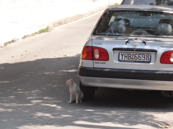 Котэ