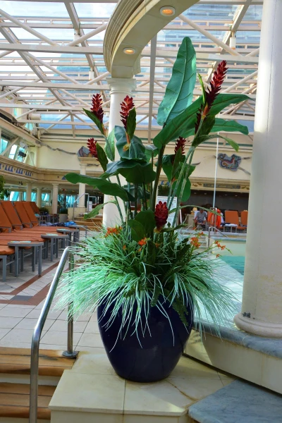 Splendour of the Seas. Бассейн под раздвижной крышей  