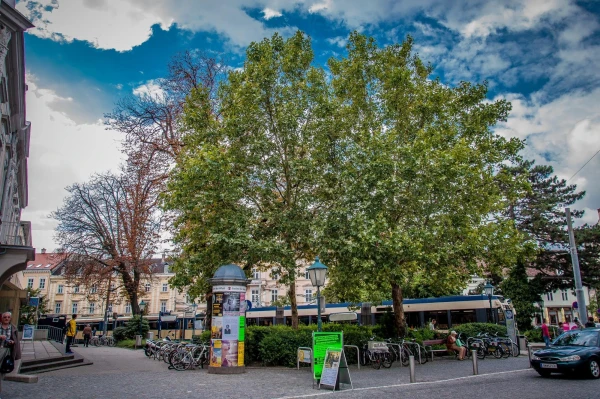 Baden bei Wien