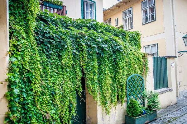Baden bei Wien